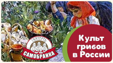 Почему в России любят грибы?